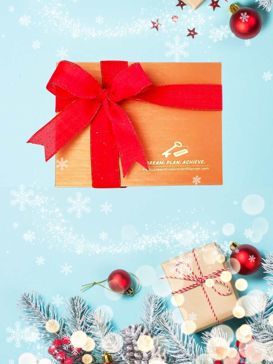Christmas gift Success Acceleration Planner - Success Planner