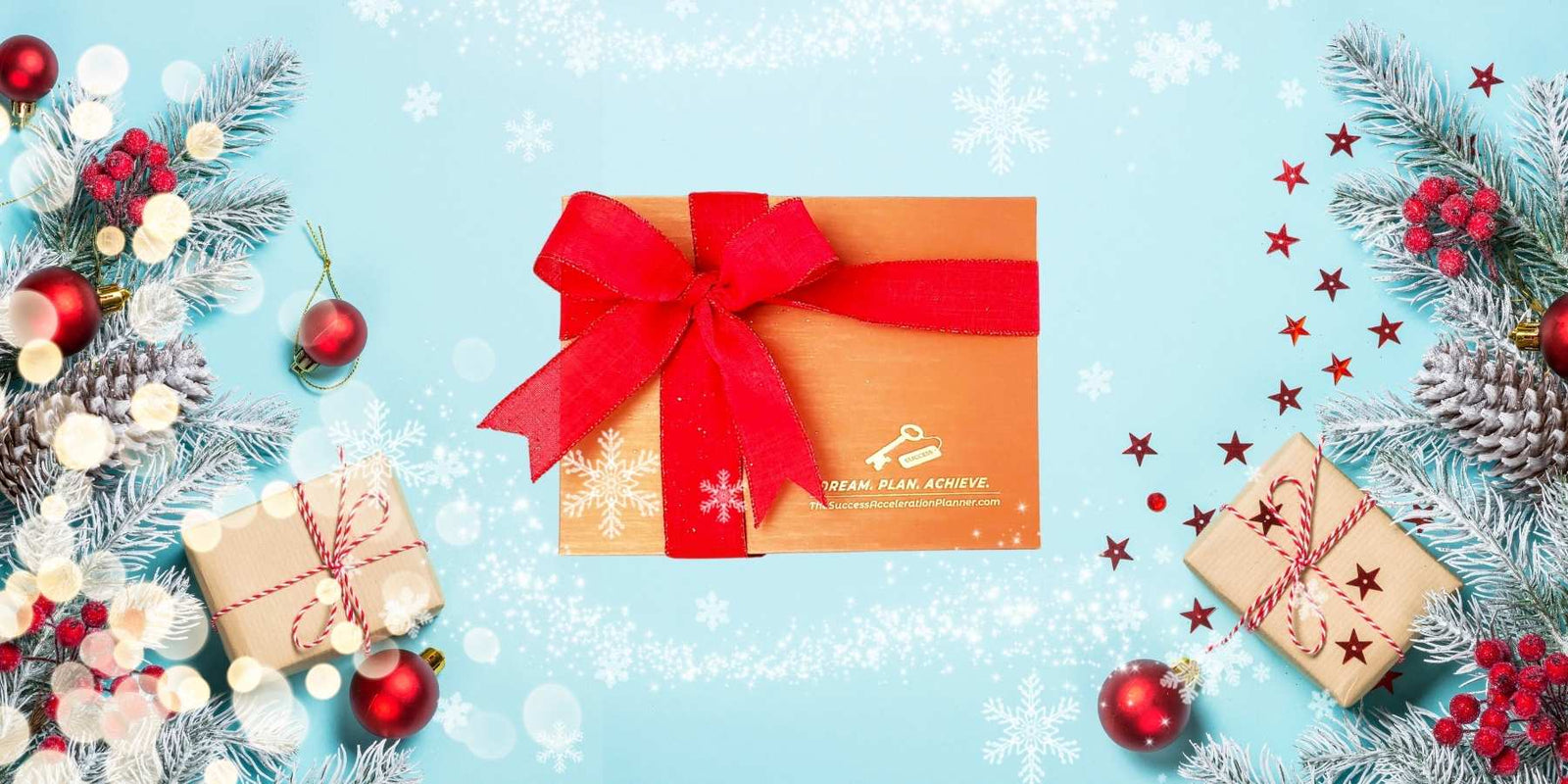 Christmas gift Success Acceleration Planner - Success Planner